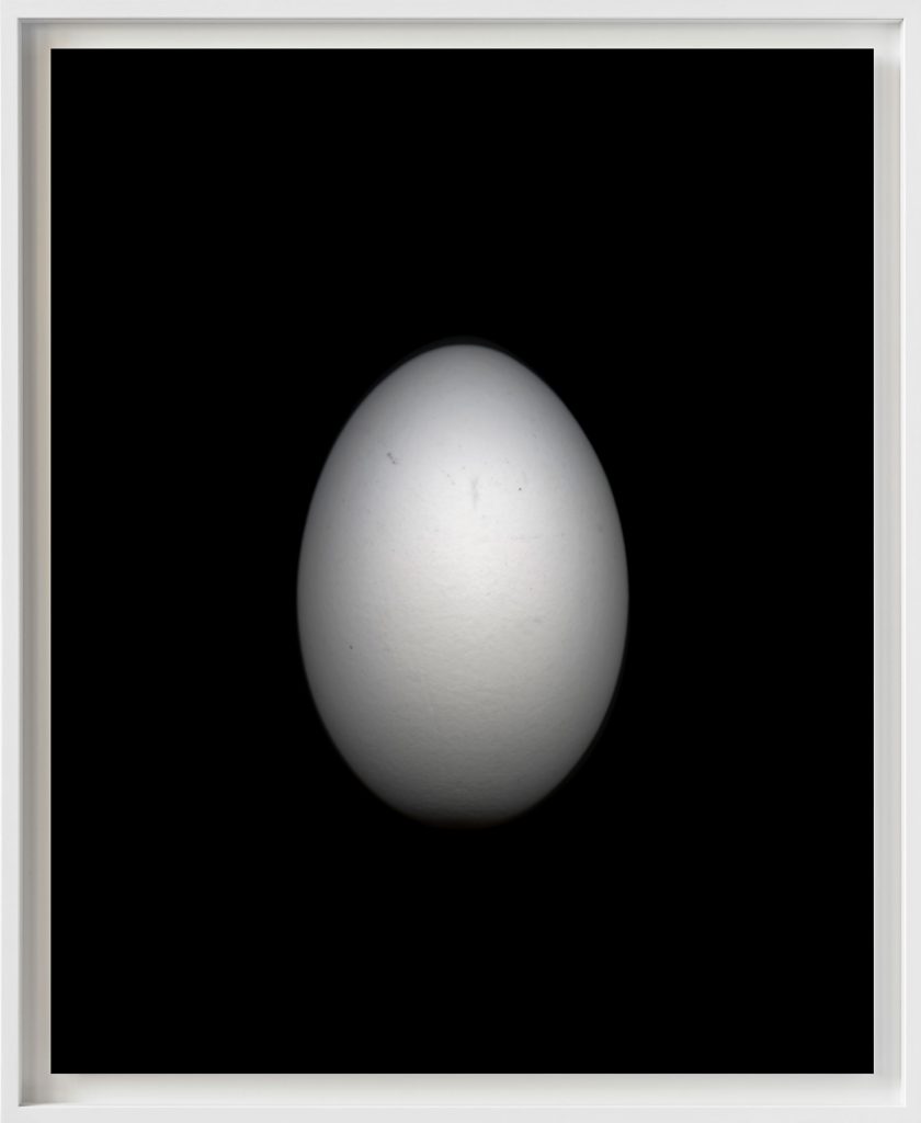 Ei-#04,-2019-Edgar-L_web