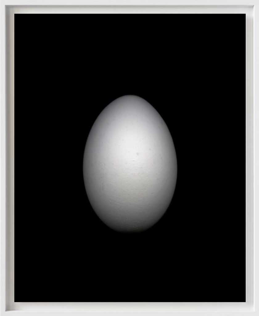 Ei-#05,-2019-Edgar-L-2_web